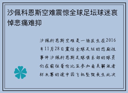 沙佩科恩斯空难震惊全球足坛球迷哀悼悲痛难抑 沙佩科恩斯空难震惊全球足坛球迷哀悼悲痛难抑
